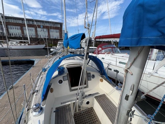 Biscay 36 usata in vendita