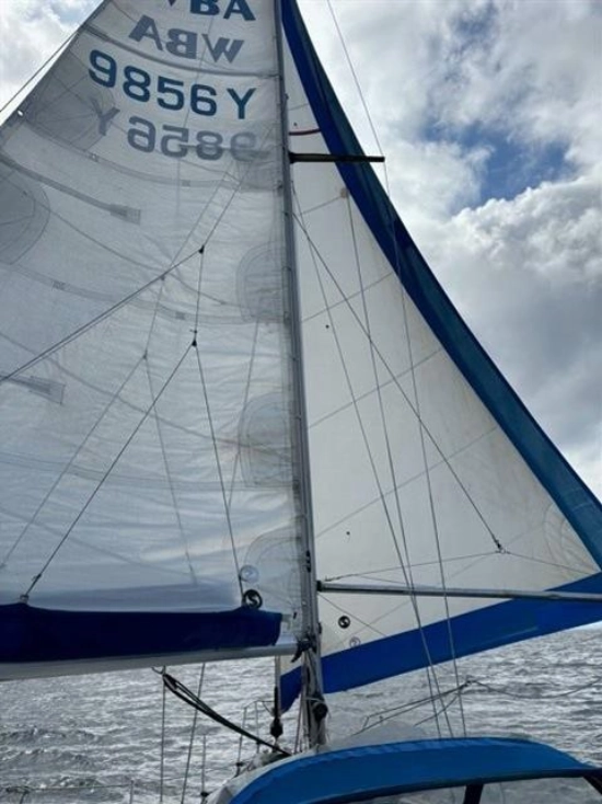 Sigma 33 Cruiser usata in vendita