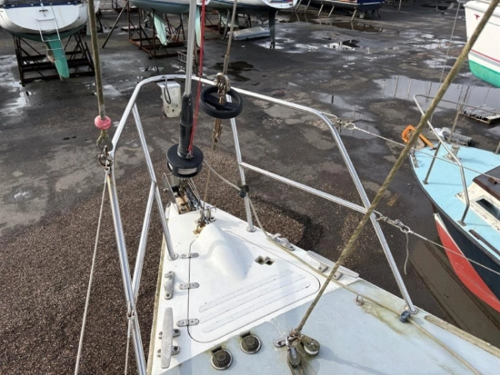 Westerly Typhoon usata in vendita