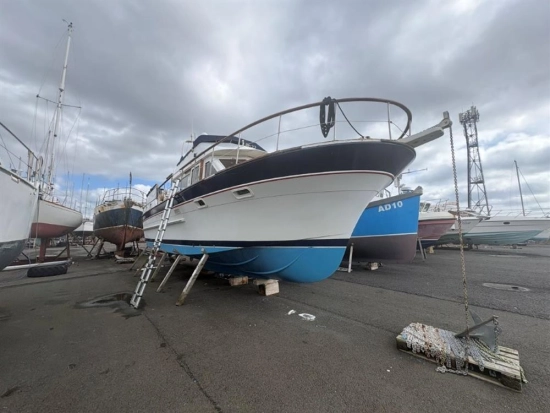 Trader 41 usata in vendita