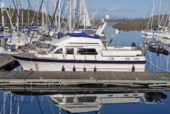 Trader 41 usata in vendita