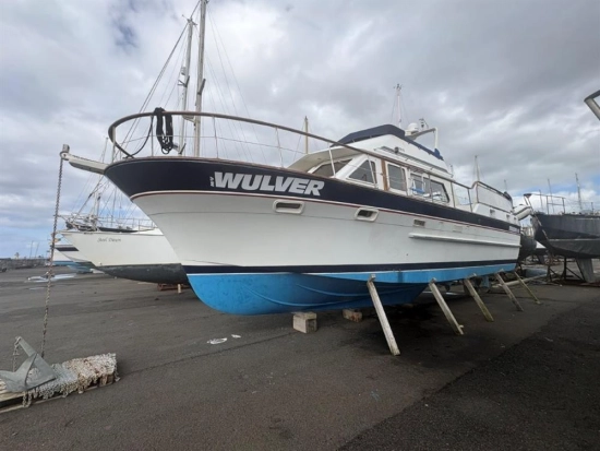 Trader 41 usata in vendita