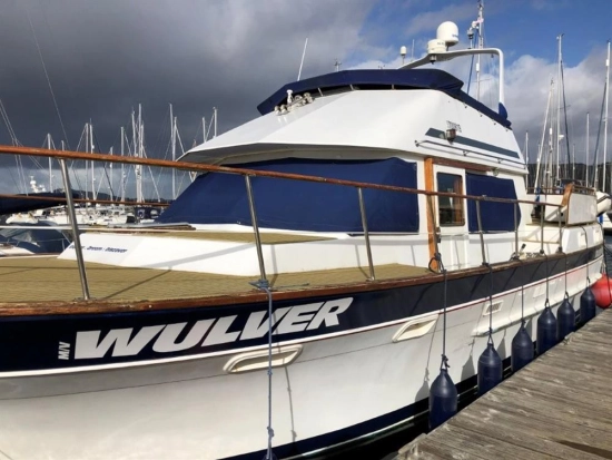 Trader 41 usata in vendita