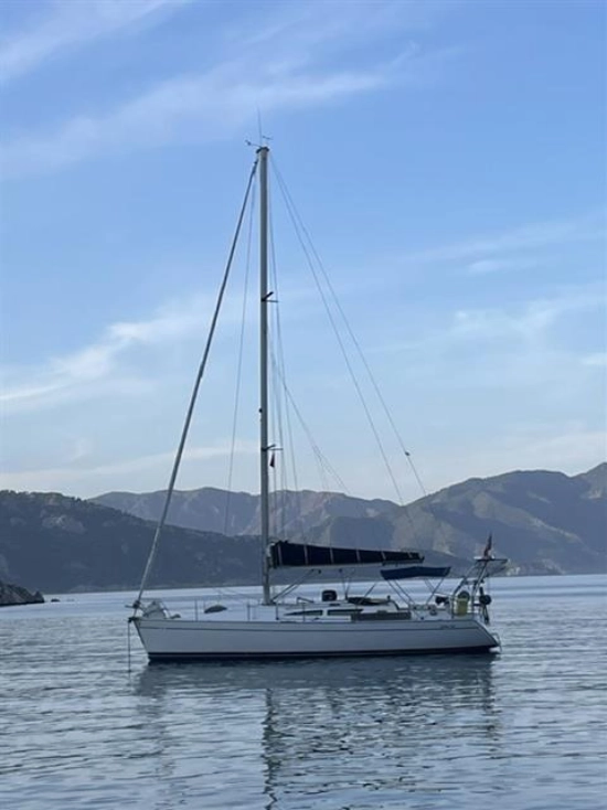 Jeanneau Sun Odyssey 40 de segunda mano en venta