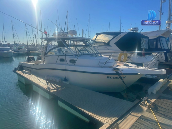 Boston Whaler 305 Conquest de segunda mano en venta