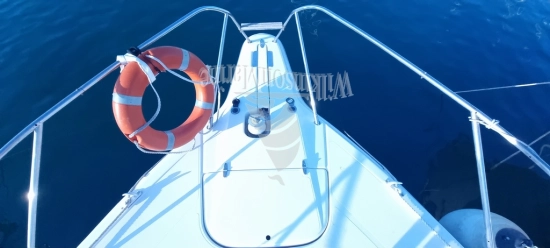 Sealine 365 Sportbridge usado à venda