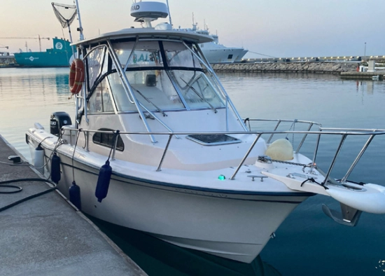 Grady White SailFish 282 usado à venda
