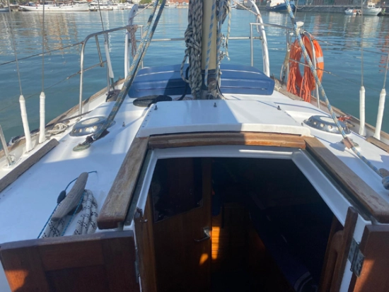 Moody Halberdier 36 usata in vendita