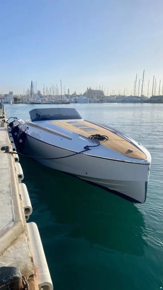 Frauscher Demon 1414 usado à venda