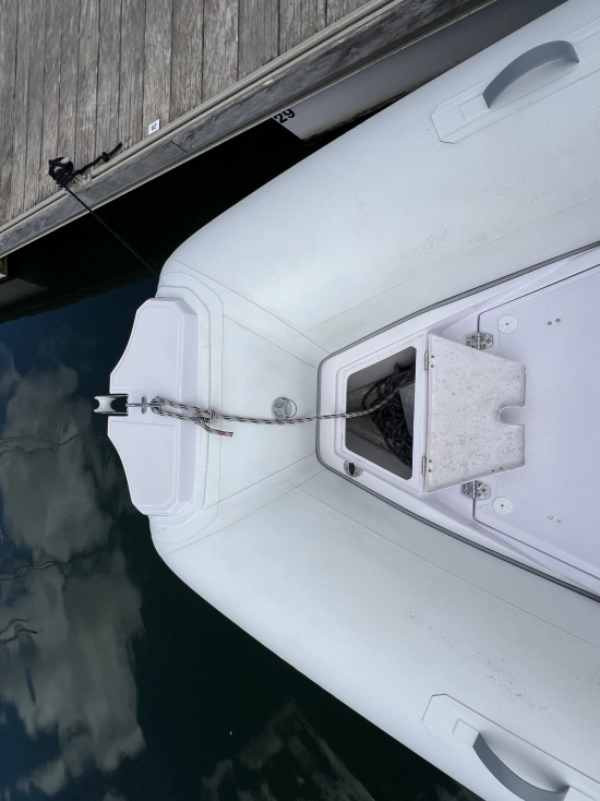 Italboats Predator 650 T usata in vendita