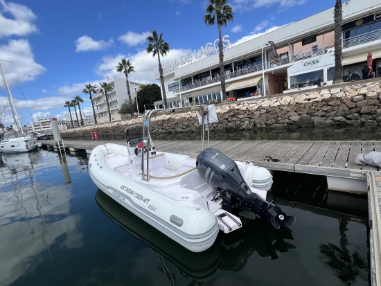 Italboats Predator 650 T usata in vendita
