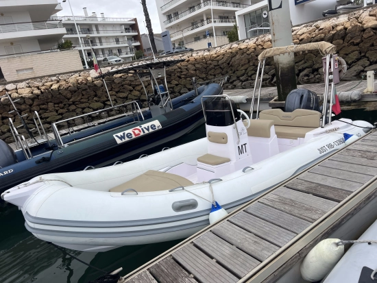 Italboats Predator 540 TS usata in vendita