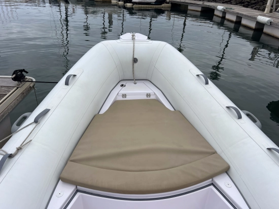 Italboats Predator 540 TS usata in vendita