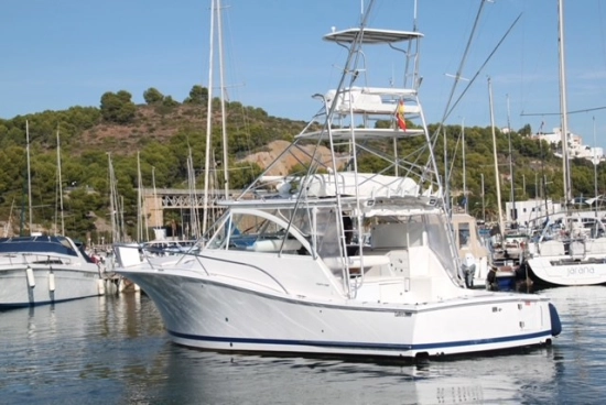 Luhrs 41 OPEN usado à venda