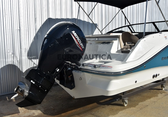 Bayliner V20 novos à venda