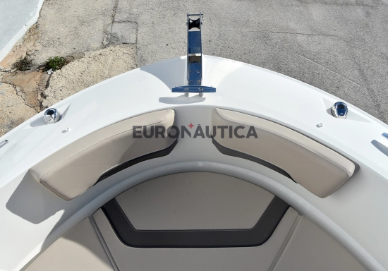 Bayliner V20 novos à venda