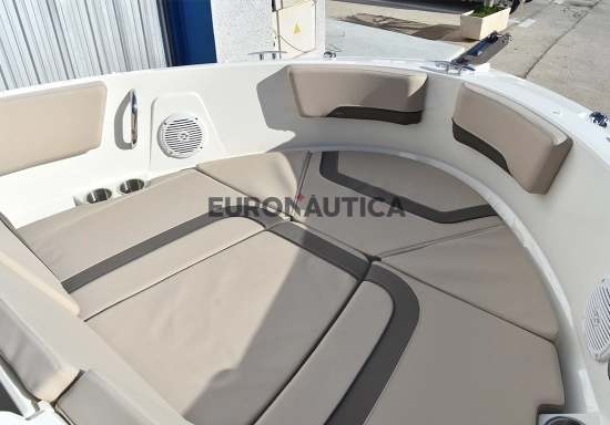 Bayliner V20 novos à venda