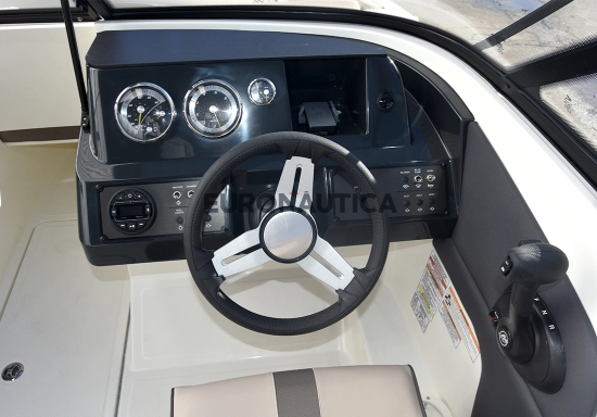 Bayliner V20 novos à venda