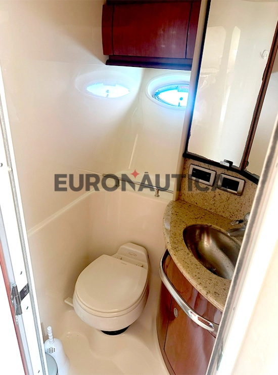 Sea Ray Sundancer 455 de segunda mano en venta