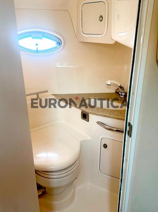 Sea Ray Sundancer 455 de segunda mano en venta