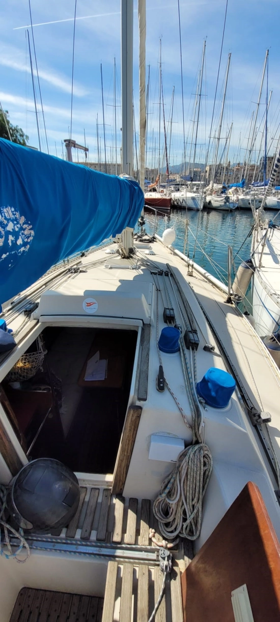 Beneteau First 30 usado à venda