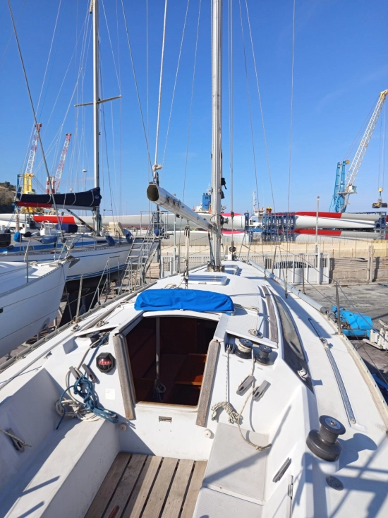 Cantiere del Pardo Grand Soleil 34 usado à venda