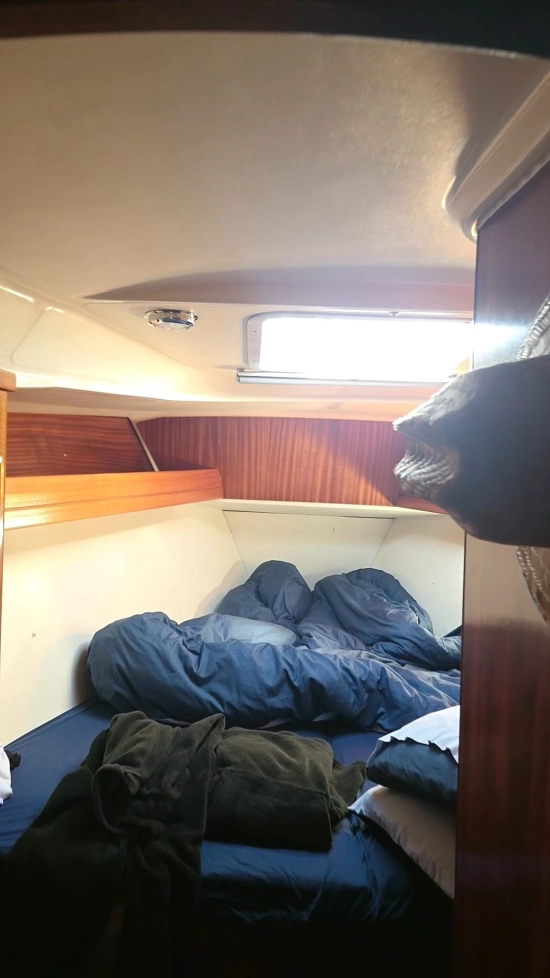 Bavaria Yachts 42 Cruiser usata in vendita