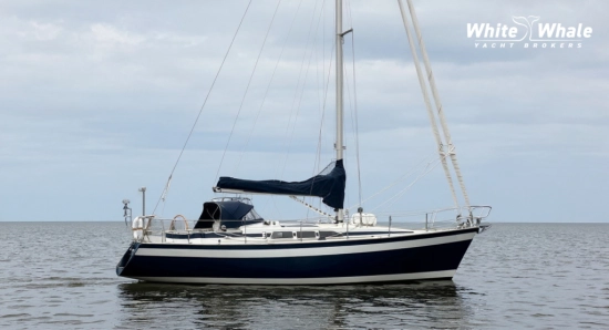 Kalan 38 de segunda mano en venta