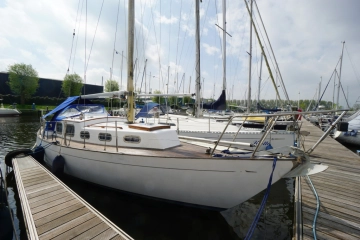 Trintella 2 de segunda mano en venta