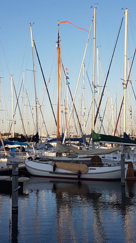 Lemsteraak 9 meter de segunda mano en venta