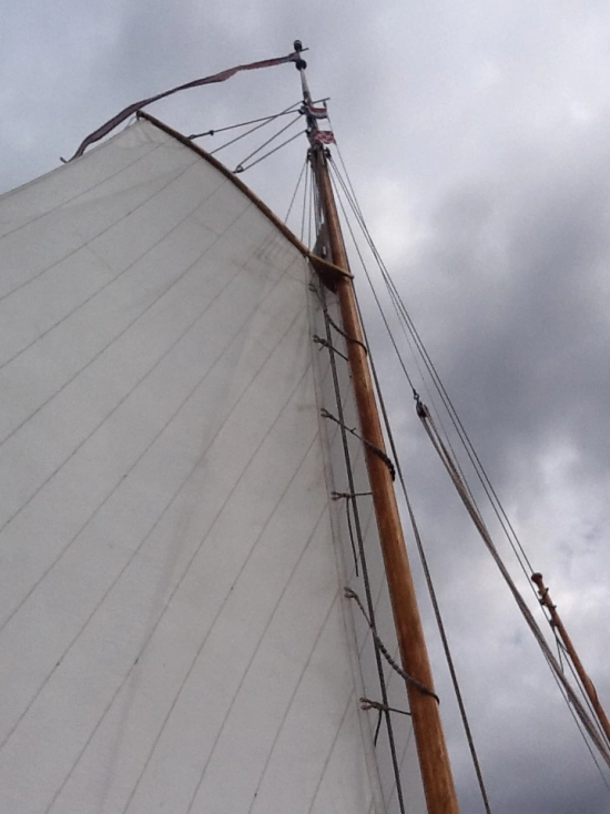 Lemsteraak 9 meter de segunda mano en venta