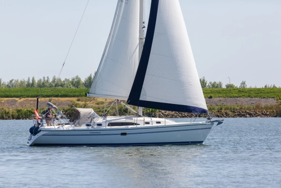 Catalina Yachts 375 usata in vendita