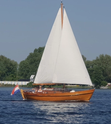 De Vries Lentsch 800 usata in vendita