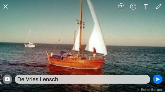 De Vries Lentsch 800 usado à venda