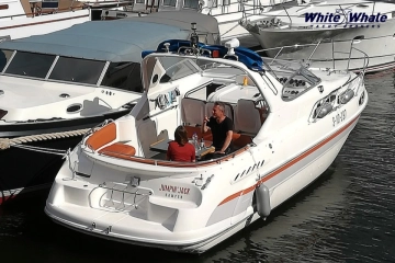 Sealine 310 Ambassador de segunda mano en venta