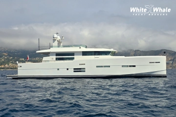 Delta Powerboats 88 Carbon usata in vendita