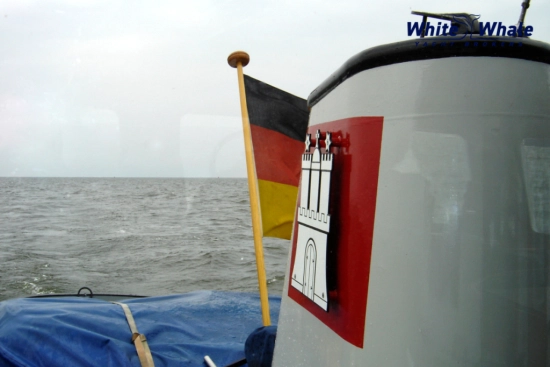 Sleepboot 16,54 Ursel usado à venda