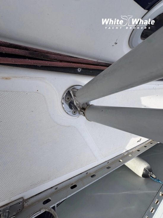 Elan Marine 333 usado à venda