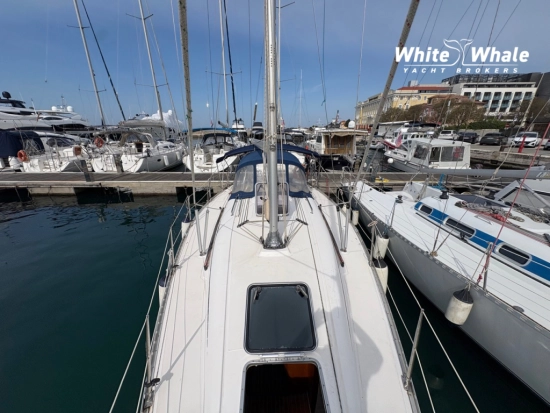 Elan Marine 333 usado à venda