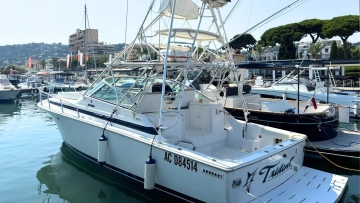 Bertram 36 Moppie de segunda mano en venta