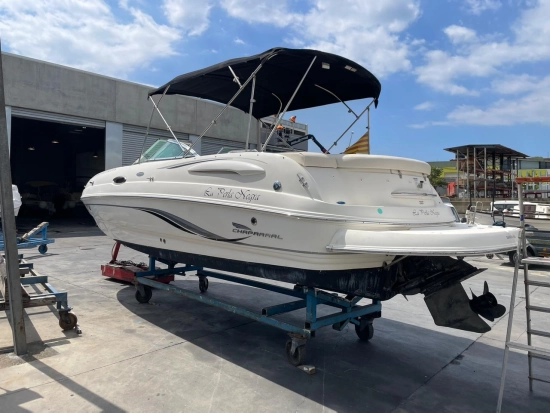 Chaparral Sunesta 236 usata in vendita