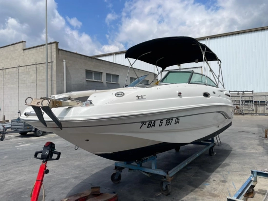 Chaparral Sunesta 236 usata in vendita