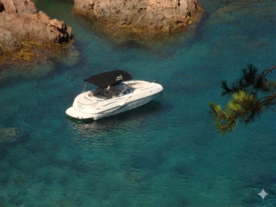 Chaparral Sunesta 236 usata in vendita