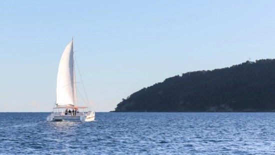 Catana Taino 21 nuevo en venta