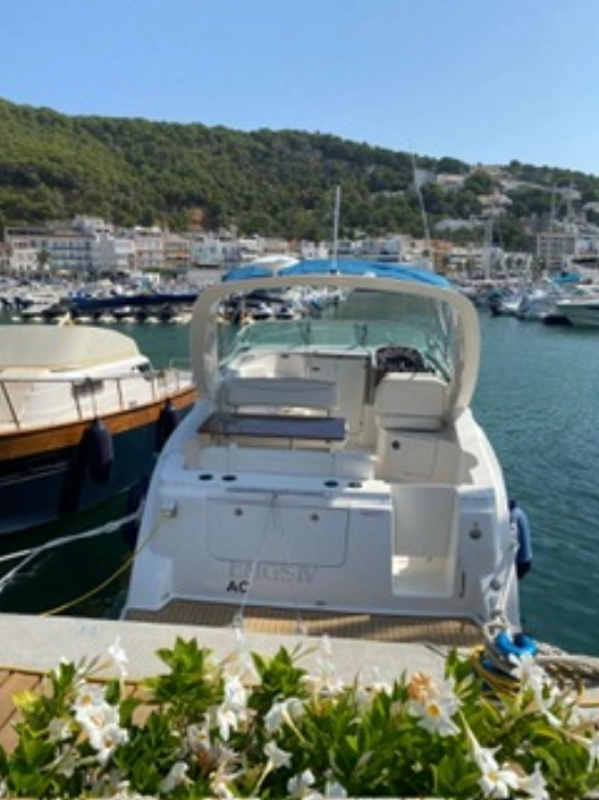 Bayliner 285 Ciera usata in vendita