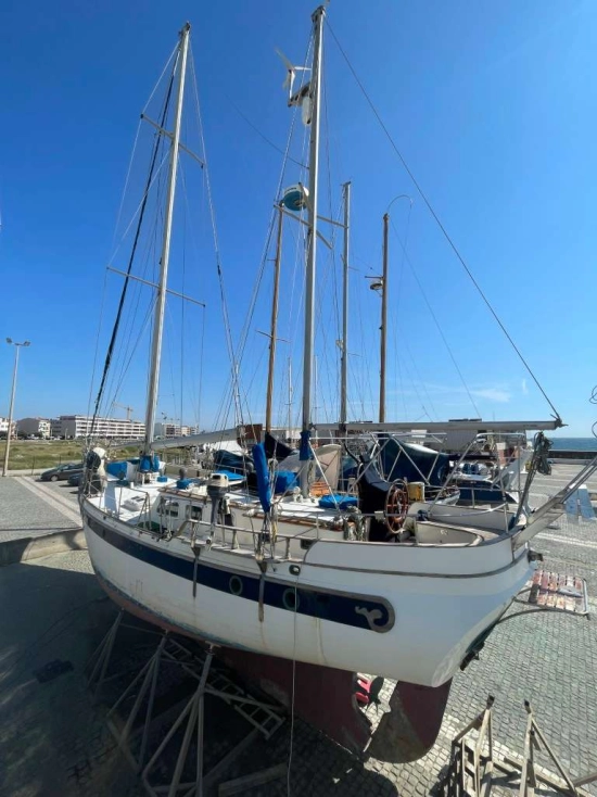 Formosa 51 de segunda mano en venta