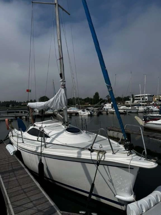 SASANKA YACHTS 700 VIVA de segunda mano en venta