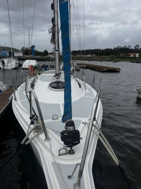 SASANKA YACHTS 700 VIVA de segunda mano en venta