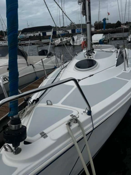 SASANKA YACHTS 700 VIVA de segunda mano en venta