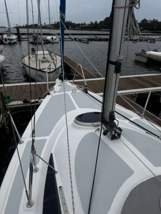 SASANKA YACHTS 700 VIVA de segunda mano en venta
